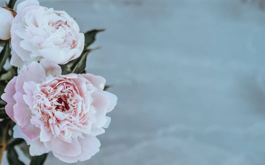 Summer Prayer Notes by Lynne Hammond